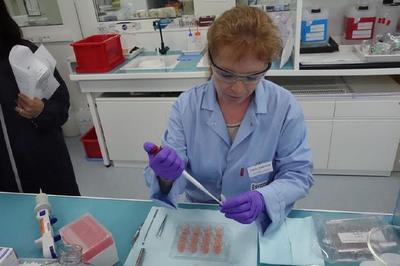 科技與美的碰撞 記者探訪歐萊雅研發(fā)中心與工廠，揭秘圣羅蘭美妝與人造皮膚創(chuàng)新